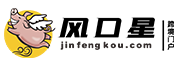 风口星跨境门户
